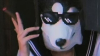 True ● Wild Wolf DISCO (caution)