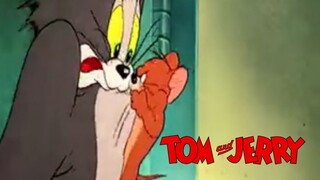 TOM and JERRY [Short Clip 5]