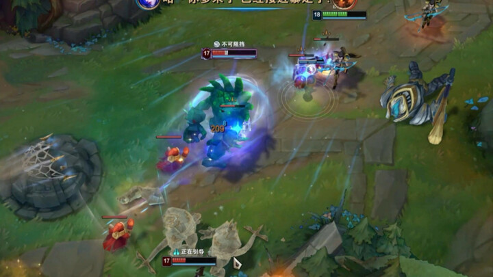 A stellar lineup with a perfect mix of meat and veggies