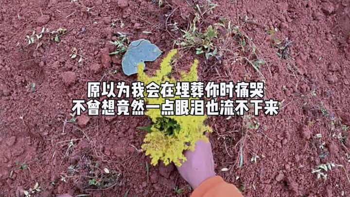 الحنين أصبح ألمًا يتنفس...