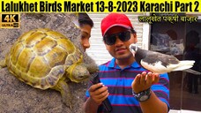 Lalukhet Birds Market (Part 2) 13-8-2023 Karachi Rare and Unique Birds