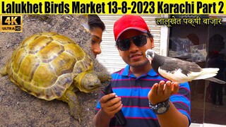 Lalukhet Birds Market (Part 2) 13-8-2023 Karachi Rare and Unique Birds