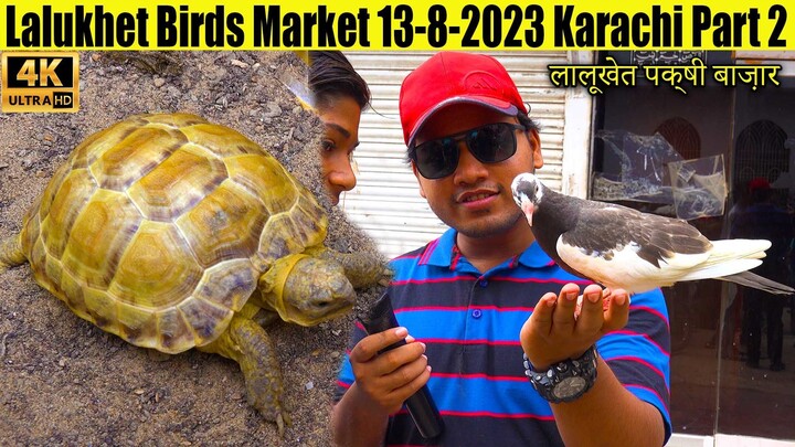 Lalukhet Birds Market (Part 2) 13-8-2023 Karachi Rare and Unique Birds