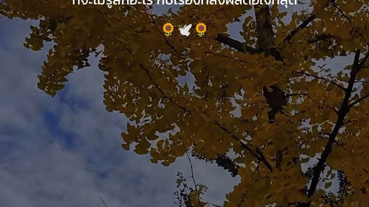 โตพอแล้วครับ🌼🕊️🌼