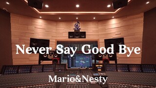 Mario & Nesty's "Never Say Good Bye (Theme Song from "My Girl")" Listen Out Loud in a Million-Dollar