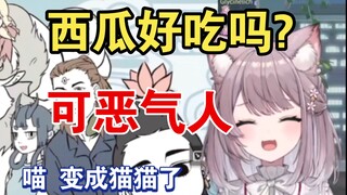 粉丝用西瓜馋momo，气得爆粗口**，赶紧变身猫猫企图萌混过关【美月もも】
