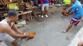 Mar 2 2025 Pula vs Gold