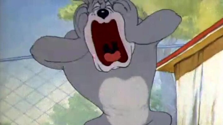 When Cats and Mice Get Infected by PVZ Sound Effects