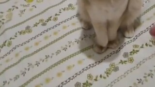 ฉันคิดว่าฉันแค่ทำแก้วแตกแล้วมีน้ำมาโดนหัว แต่ฉันไม่ได้คาดหวัง...