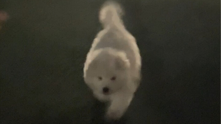 Yeye ran the 800 meters and feels so wronged!