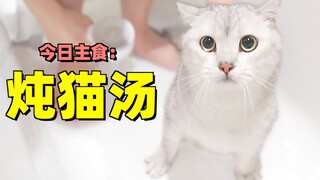 小公猫半夜尿沙发当场被抓，气得小伙直接下锅炖猫汤