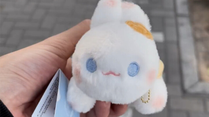 Aku juga udah dapat kelinci pertama di Tahun Kelinci nih～