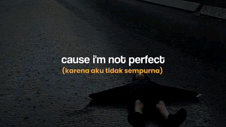 i'm not perfect