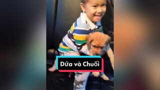 Anh Dứa bế em Chuối. 2 ae đc bao điểm đáng yêu cả nhà ơi...cunyeucuadua chó chócon chókhôn chócute