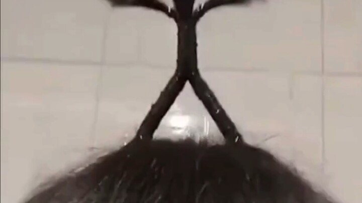 Mental state has been consistently good.