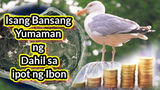Isang Bansang Yumaman ng Dahil sa Ipot ng Ibon|Rag to Richest
