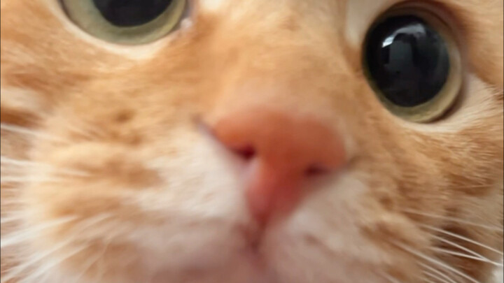 Hey, Niren, wake up!