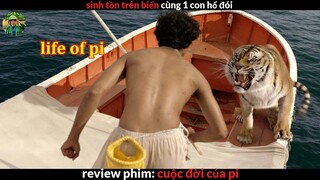 Sinh Tồn trên Biển cùng 1 con hổ đói - review phim Cuộc Đời Của Pi