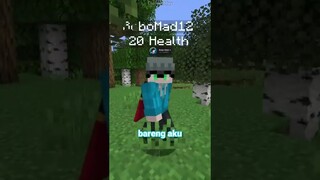 Minecraft, tapi Chunk Lama-lama MENGHILANG... (ft. Bobo Mad)