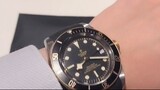 Tudor black bay buyer video show