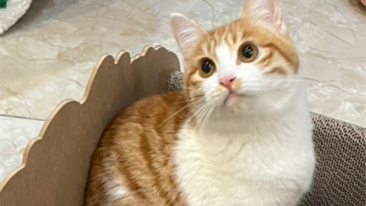 Of course you were picked up by Mom from the trash can!