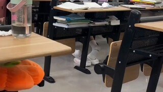 At Wutai, you have to take your clothes off for cultural classes! #PectoralMusclesBounced #Kinesiolo