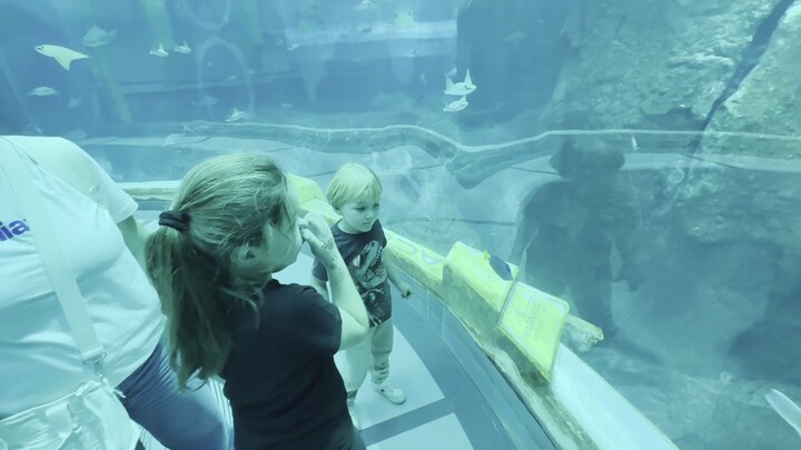 AKVARYUM DUBAİ YÜRÜYEN MERDİVEN - 杜拜水族館自動扶梯