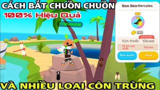 PLAY TOGETHER | CÁCH BẮT CHUỒN CHUỒN VÀ CÁC LOẠI CÔN TRÙNG KHÁC | CÔNG THỨC BẮT CÔN TRÙNG HIỆU QUẢ