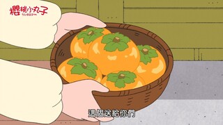 【樱桃小丸子】邻居家送来又脆又甜的柿子，果然还是自己种的好吃