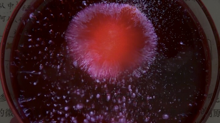 มาดูดวงดาวกับฉันกันเถอะ