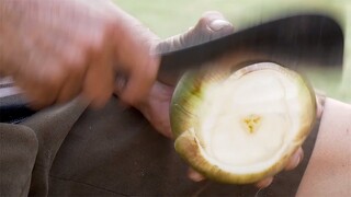 Toddy Palm Fruit | Thai Street Food