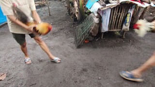 Sparing Muna abangan Ang Laban sa Feb 9 Hackfight Zapote Cockpit🔥