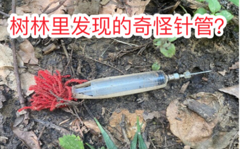 Giải đáp những câu hỏi kỳ lạ của cư dân mạng Bilibili (110) – Tiếp theo tập 104