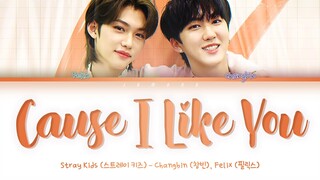 [SKZ-RECORD] Changbin & Felix - Cause I Like You (좋으니까) [Color Coded Lyrics/Han/Rom/Eng/가사]