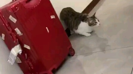 الانطلاق بالقاذفة كان يعني التعرض للضرب في الماضي