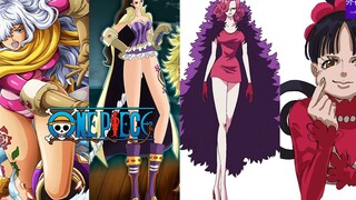 Fitur One Piece #697: Siapa yang akan terpilih sebagai menantu Kaido?