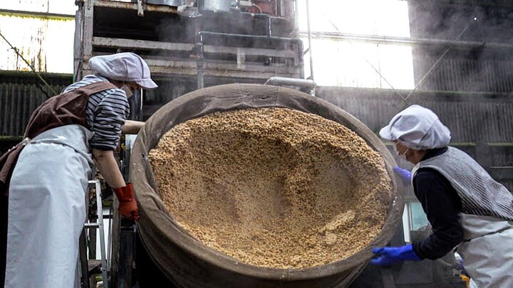 [Factory Production of Red Miso]