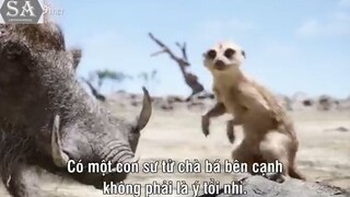 REVIEW PHIM VUA SƯ TỬ - THE LION KING