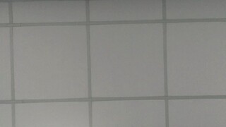 cjcjjf