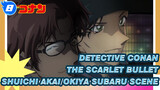[D Detective Conan: The Scarlet Bullet]Shuichi Akai/Okiya Subaru Scene_A8