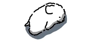 【Line Puppy】Little Chicken Feather ran away from home