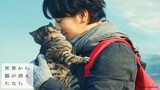If Cats Disappeared From the World (2016) ถ้าแมวตัวนั้นหายไปจากโลกนี้