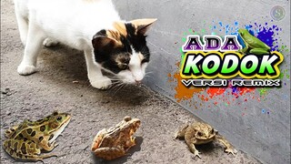 ADA KODOK 🐸 Lagu Terpopuler Sepanjang Masa | Cicak Cicak di Dinding ~ SI KODOK & KUCING Lucu