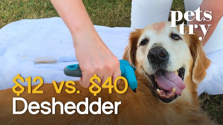Pets Try: $12 Deshedder Vs. $40 Deshedder