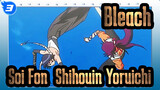 Bleach
Soi Fon&Shihouin Yoruichi_3