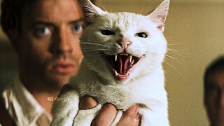 噬元兽：怕什么，我只是一只可爱的小猫咪！