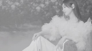 Zhao Liying's TV series "Traveling with the Phoenix" official Shen Li Bi Cang You pilot film