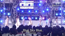 Blue Sky Blue by Flower — Live Performance at THE MUSIC DAY [4th July 2015]