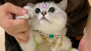 The Indian belly dance is coming!