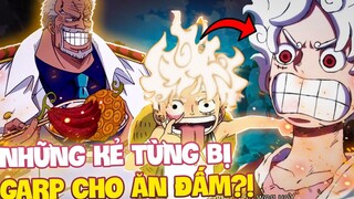 TỨ HOÀNG LUFFY CŨNG PHẢI SỢ GARP?! | NHỮNG KẺ TỪNG ĐỤNG ĐỘ PHẢI GARP